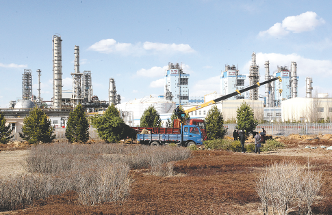 天天盈球APP界面展示